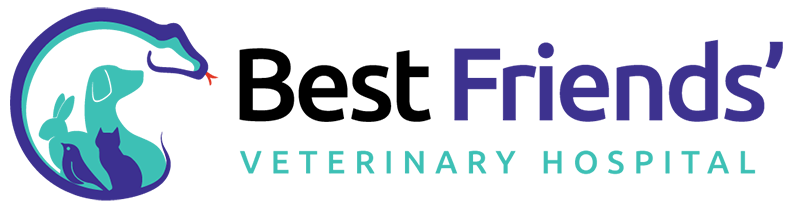 Best Friends' Veterinary Hospital logo