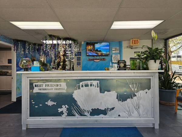 Best Friends Veterinary Hospital