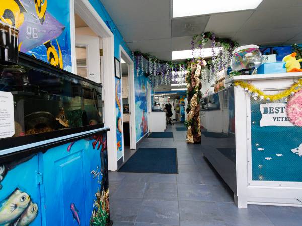 Best Friends Veterinary Hospital