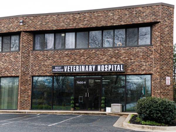 Best Friends Veterinary Hospital