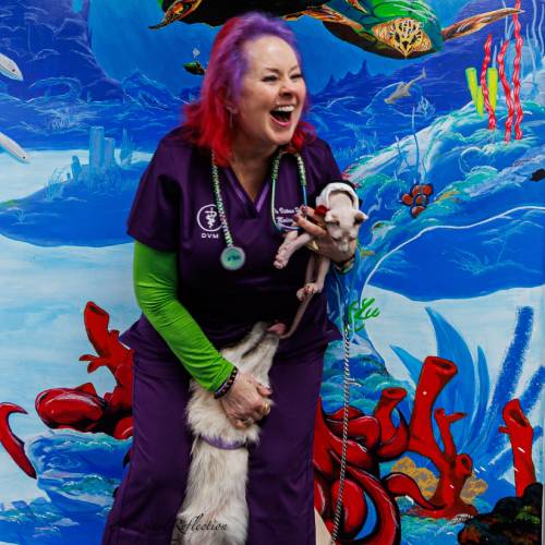 Dr Victoria M Hollifield