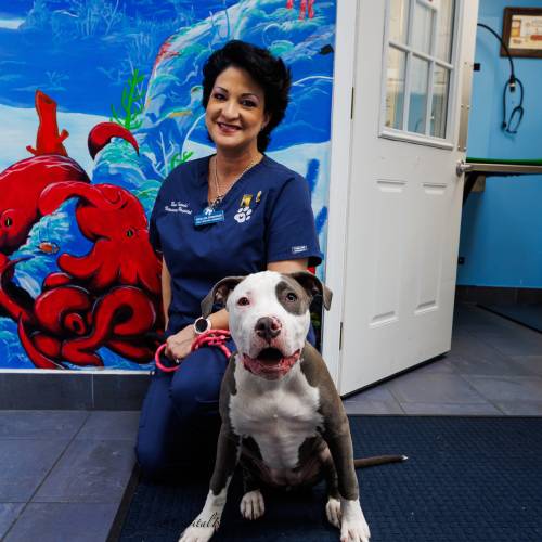 Angelina Customer Success Manager