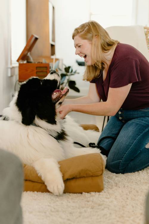 Behavioral Consultations