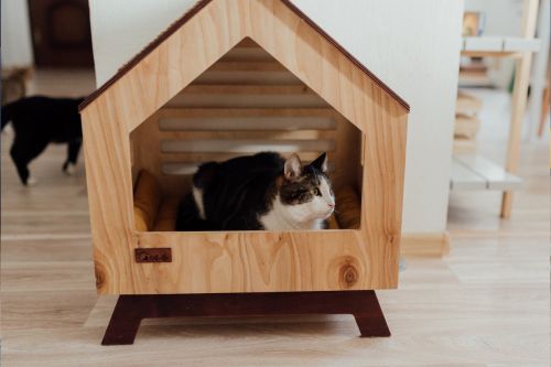 Cat sitting inside a doghouse