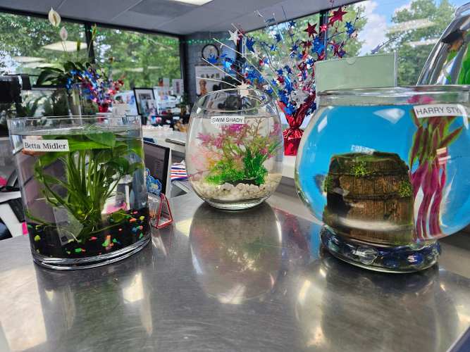 Fishbowls with celebrity pun names