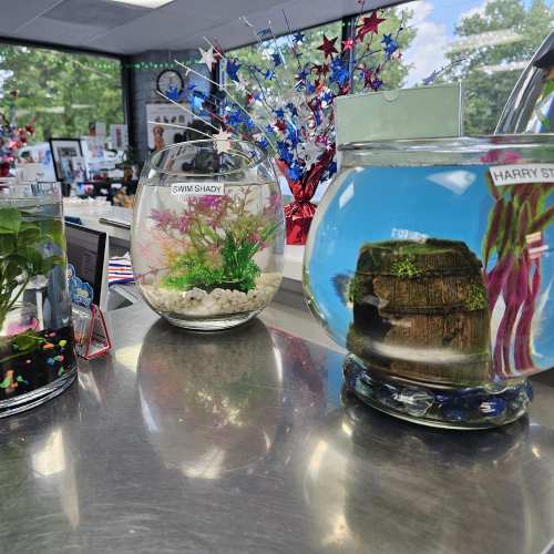 Glass fishbowls with aquatic decor