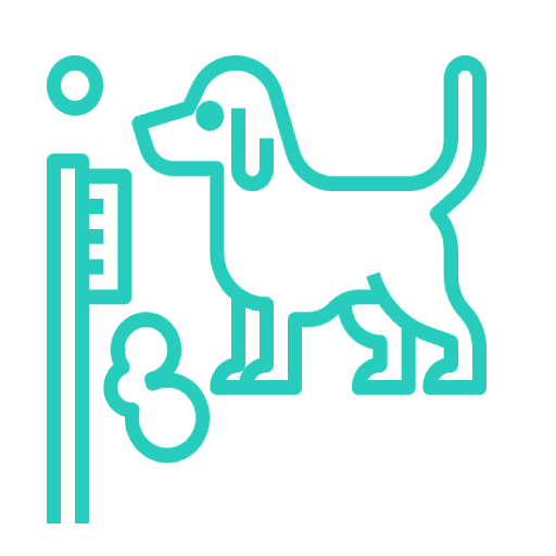 Pet Dental Care